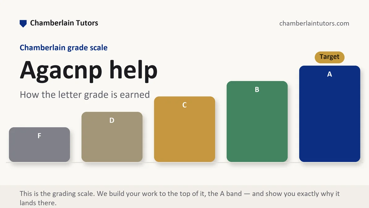 Agacnp help at Chamberlain, the grading standard every deliverable is built to, from Chamberlain Tutors