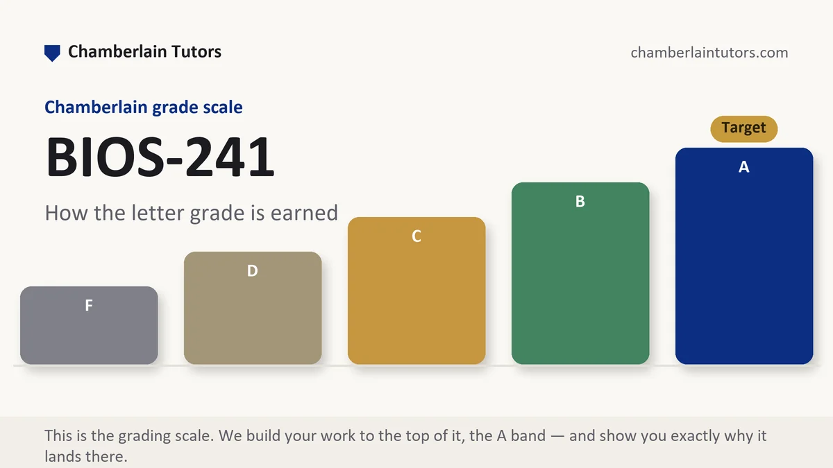 BIOS-241 grading scale at Chamberlain, how the work is graded, from Chamberlain Tutors
