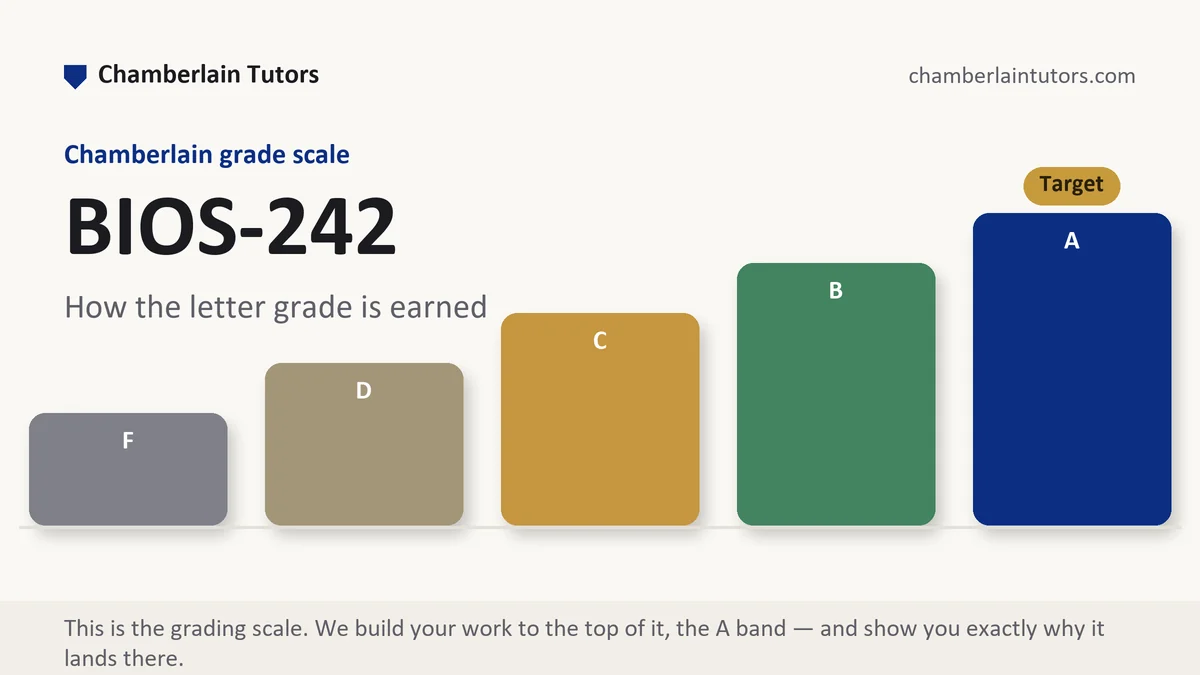 BIOS-242 grading scale at Chamberlain, how the work is graded, from Chamberlain Tutors
