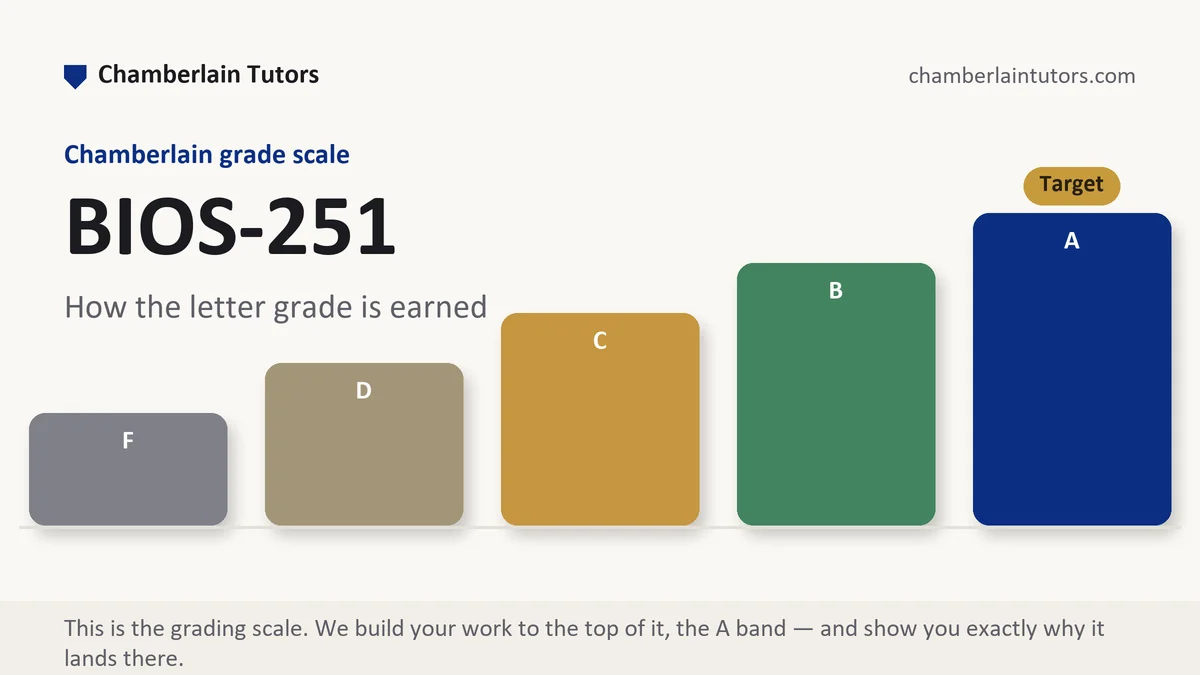 BIOS-251 grading scale at Chamberlain, how the work is graded, from Chamberlain Tutors