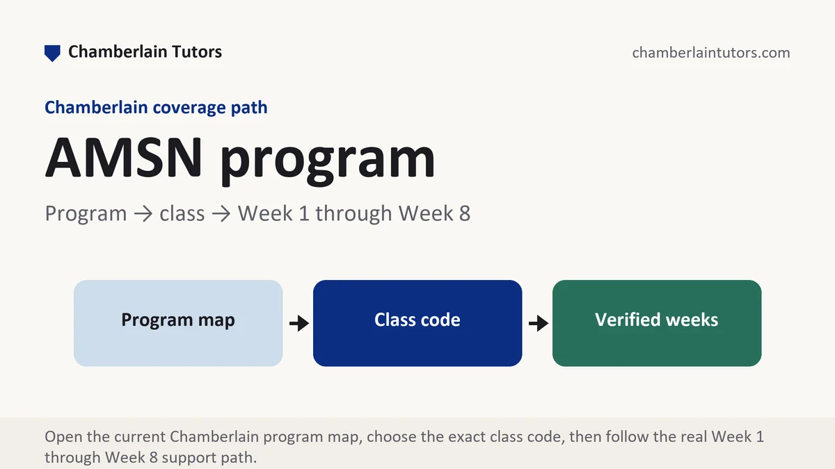AMSN program at Chamberlain, program to class to verified week path, from Chamberlain Tutors