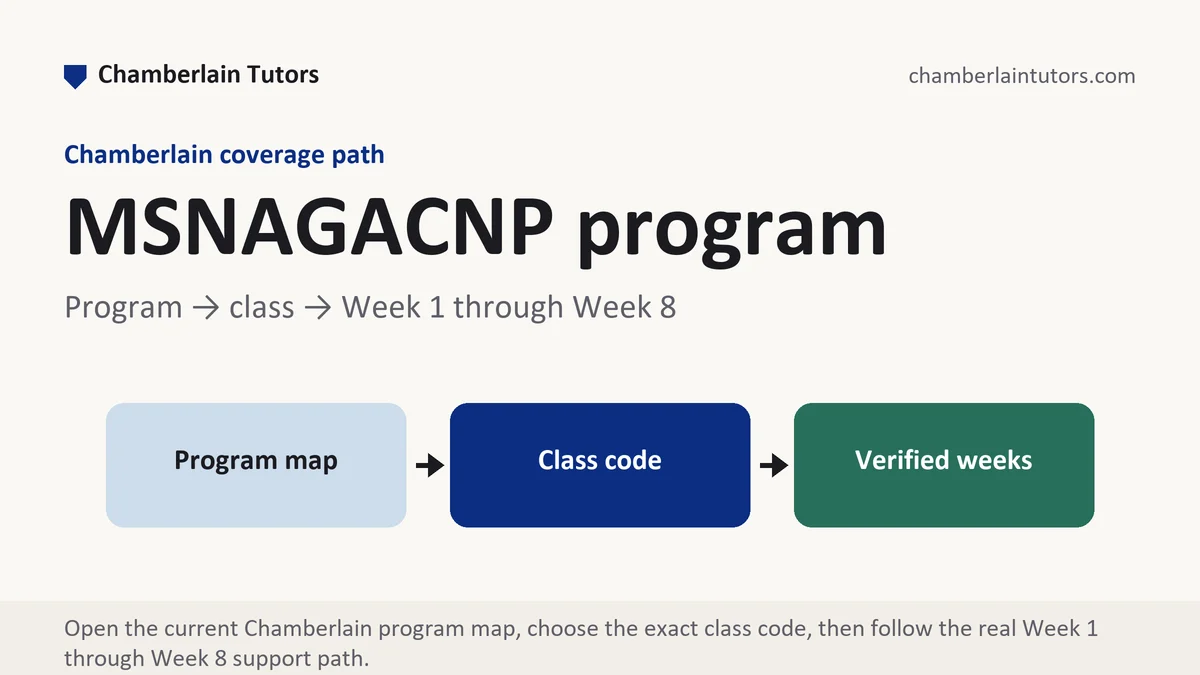 MSNAGACNP program at Chamberlain, program to class to verified week path, from Chamberlain Tutors